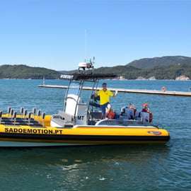 Setúbal e Tróia: Osservazione dei delfini e baie di Arrábida