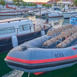 Setúbal: Tour in barca per l'avvistamento dei delfini