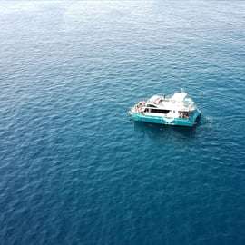 Setúbal: Tour di osservazione dei delfini