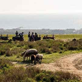 Da Lisbona: Tour guidato in quad sulla Costa da Caparica