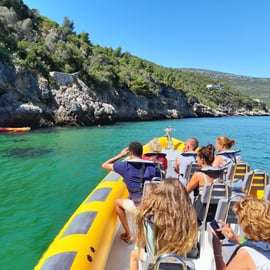 Setúbal e Tróia: Osservazione dei delfini e baie di Arrábida