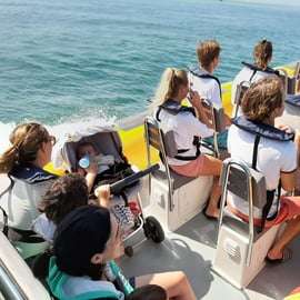Setúbal e Tróia: Osservazione dei delfini e baie di Arrábida