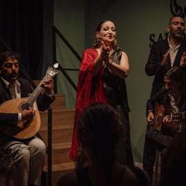 Lisbona: Spettacolo di Fado con vino Quinta do Gradil a Baixa-Chiado