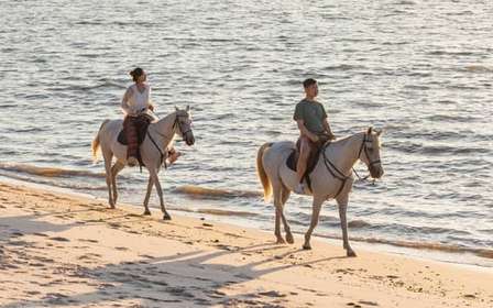 Cavalcare sulla spiaggia al tramonto