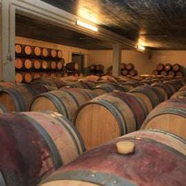 Arrabida: cantine, degustazioni e fabbrica di piastrelle
