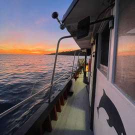 Cascais: crociera al tramonto a Lisbona con open bar
