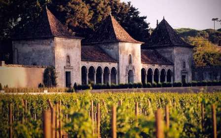 Da Lisbona: Serra da Arrábida, Sesimbra e Vini di Setúbal