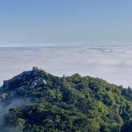 Lisbona: tour di mezza giornata di Sintra con Palazzo Pena e Regaleira