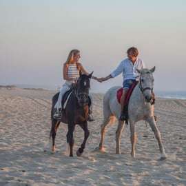 Da Lisbona: Passeggiata a cavallo sulla spiaggia di Comporta