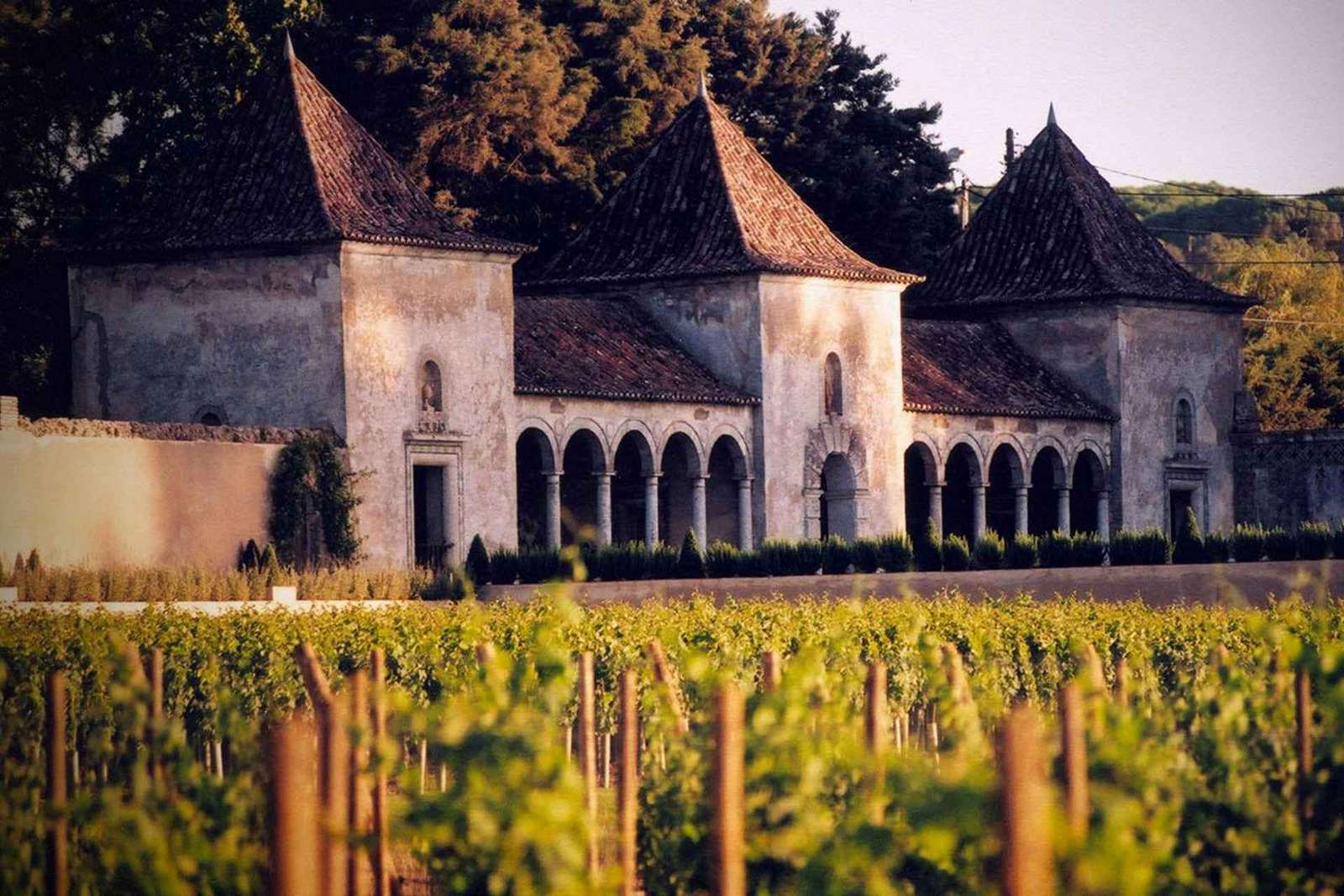 Da Lisbona: Serra da Arrábida, Sesimbra e Vini di Setúbal