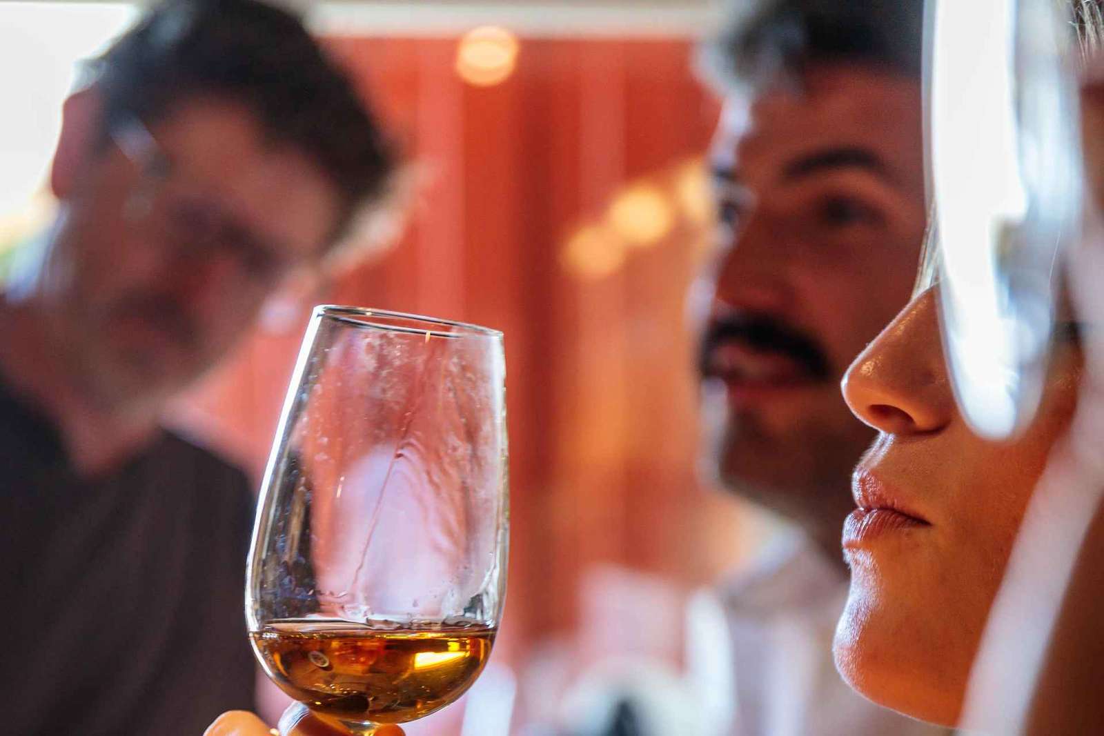 Lisbona: tour dei vigneti di Carcavelos e degustazione di vini
