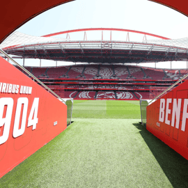 Lisbona: Tour dello stadio Benfica Luz con sciarpa ricordo