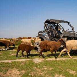 Avventura in buggy a Lisbona: sentieri nascosti, scogliere e costa