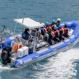 Arrábida: Setubal, Sesimbra Coasteering e tour in motoscafo