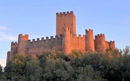 Da Lisbona: Itinerario dei Templari - Almourol, Tomar e il Convento di Cristo