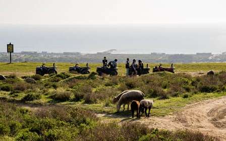Da Lisbona: Tour guidato in quad sulla Costa da Caparica