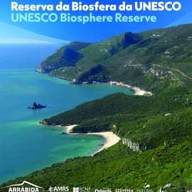 Arrábida: Setubal, Sesimbra Coasteering e tour in motoscafo