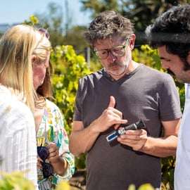 Lisbona: tour dei vigneti di Carcavelos e degustazione di vini
