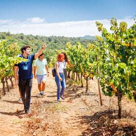 Lisbona: Escursione di un giorno a Arrábida e Sesimbra con il vino