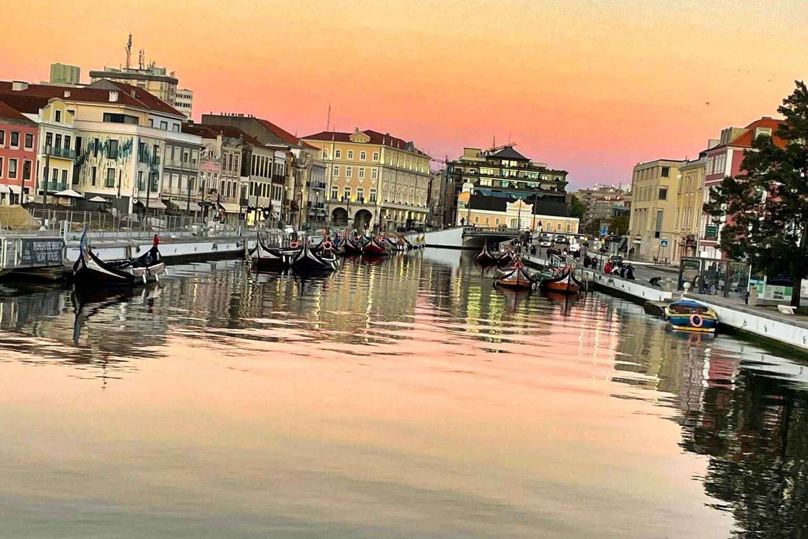 Lisbona: Trasferimento privato a Porto con soste in 3 città
