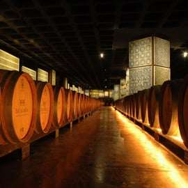 Da Lisbona: Serra da Arrábida, Sesimbra e Vini di Setúbal