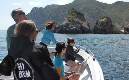 Sesimbra: Tour in barca delle spiagge e delle grotte di Arrábida con snorkeling