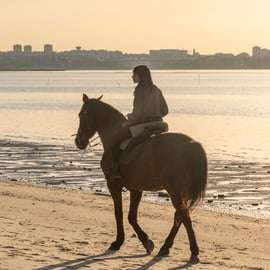 Cavalcare sulla spiaggia al tramonto