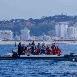 Lisbona: Tour in barca per l'osservazione dei delfini