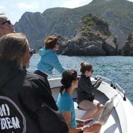 Sesimbra: Tour in barca delle spiagge e delle grotte di Arrábida con snorkeling