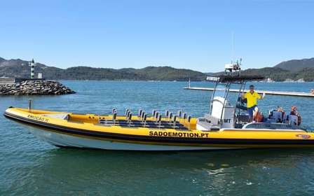 Setúbal e Tróia: Osservazione dei delfini e baie di Arrábida