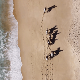 Da Lisbona: Passeggiata a cavallo sulla spiaggia di Comporta