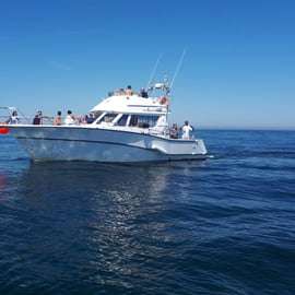 Escursione di pesca d'altura a Cascais