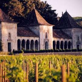 Da Lisbona: Serra da Arrábida, Sesimbra e Vini di Setúbal