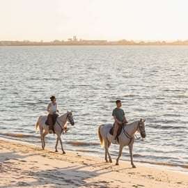 Cavalcare sulla spiaggia al tramonto