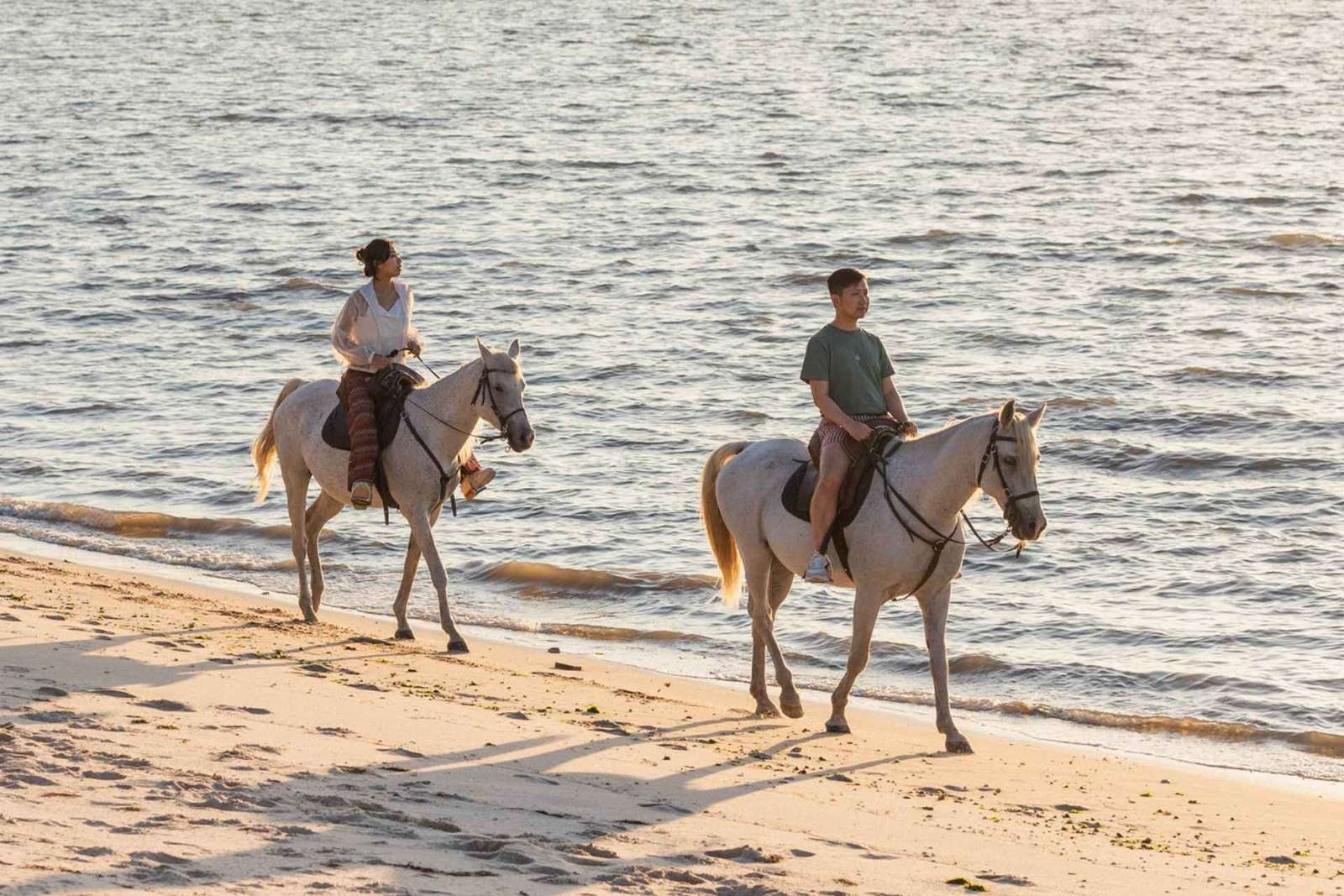 Cavalcare sulla spiaggia al tramonto